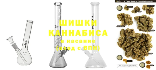 индика Абаза