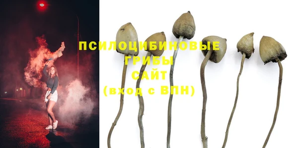 гашик Осинники