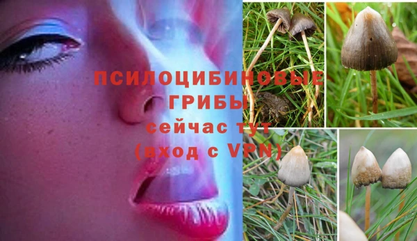 соль курить ск Абдулино