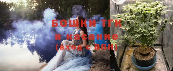 индика Абаза