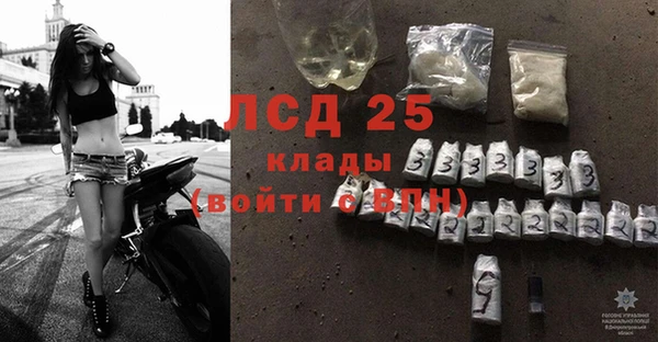 индика Абаза