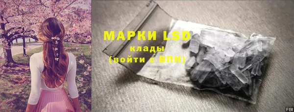 индика Абаза