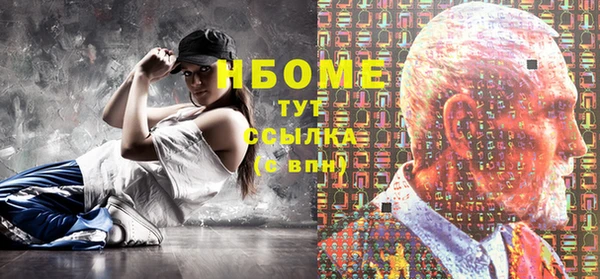 гашик Осинники