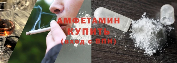 индика Абаза