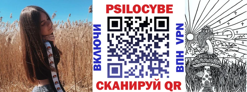 shop состав  Владикавказ  Псилоцибиновые грибы прущие грибы  цена  