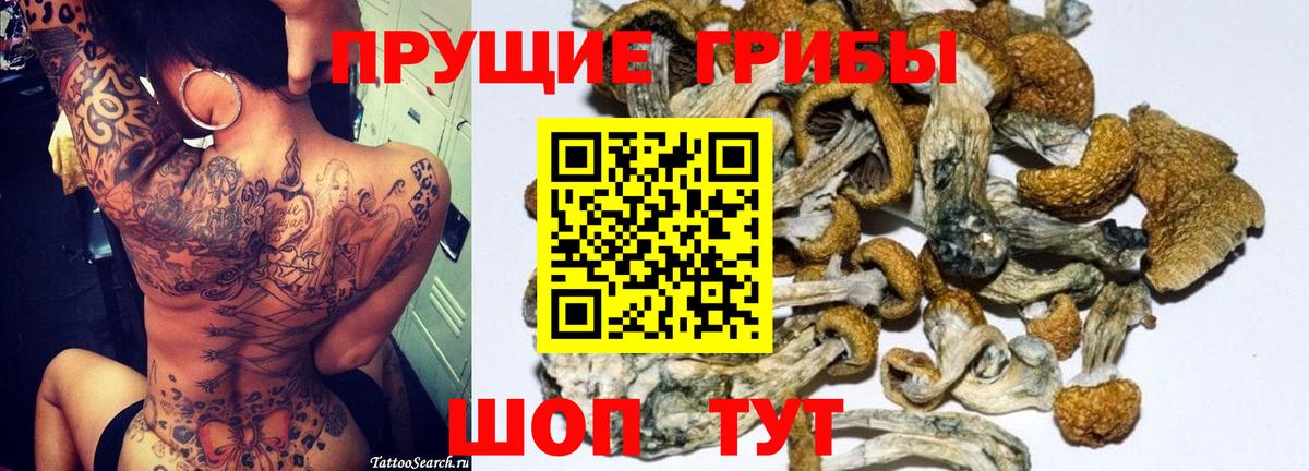 купить наркотик  Псилоцибиновые грибы Cubensis  Псилоцибиновые грибы Psilocybine cubensis  Вход с VPN  Владикавказ 