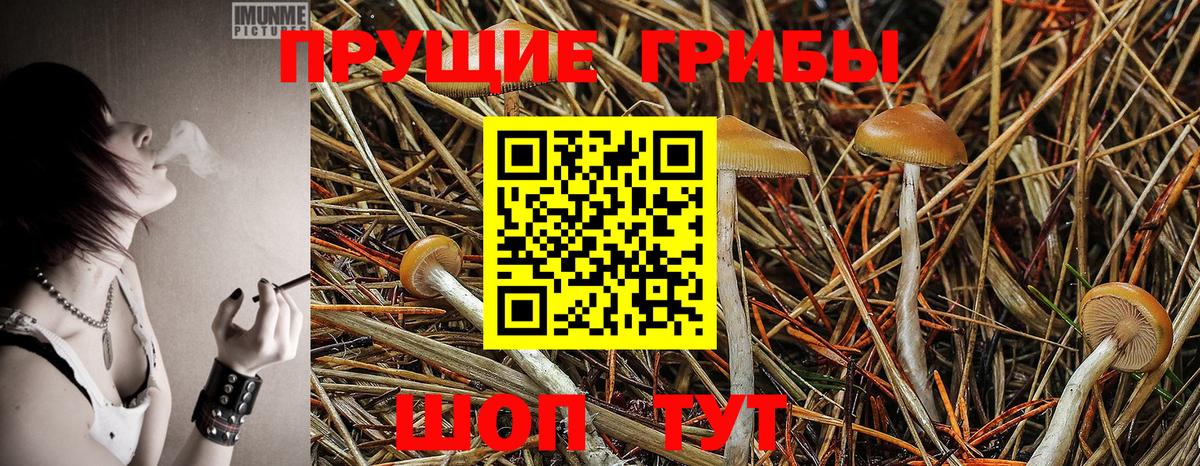 Псилоцибиновые грибы мухоморы Владикавказ