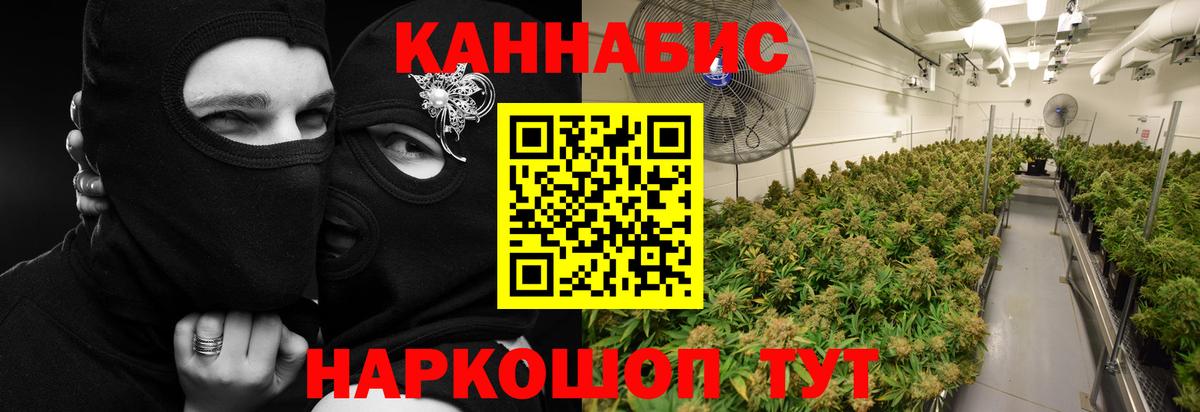 Шишки марихуана LSD WEED Владикавказ